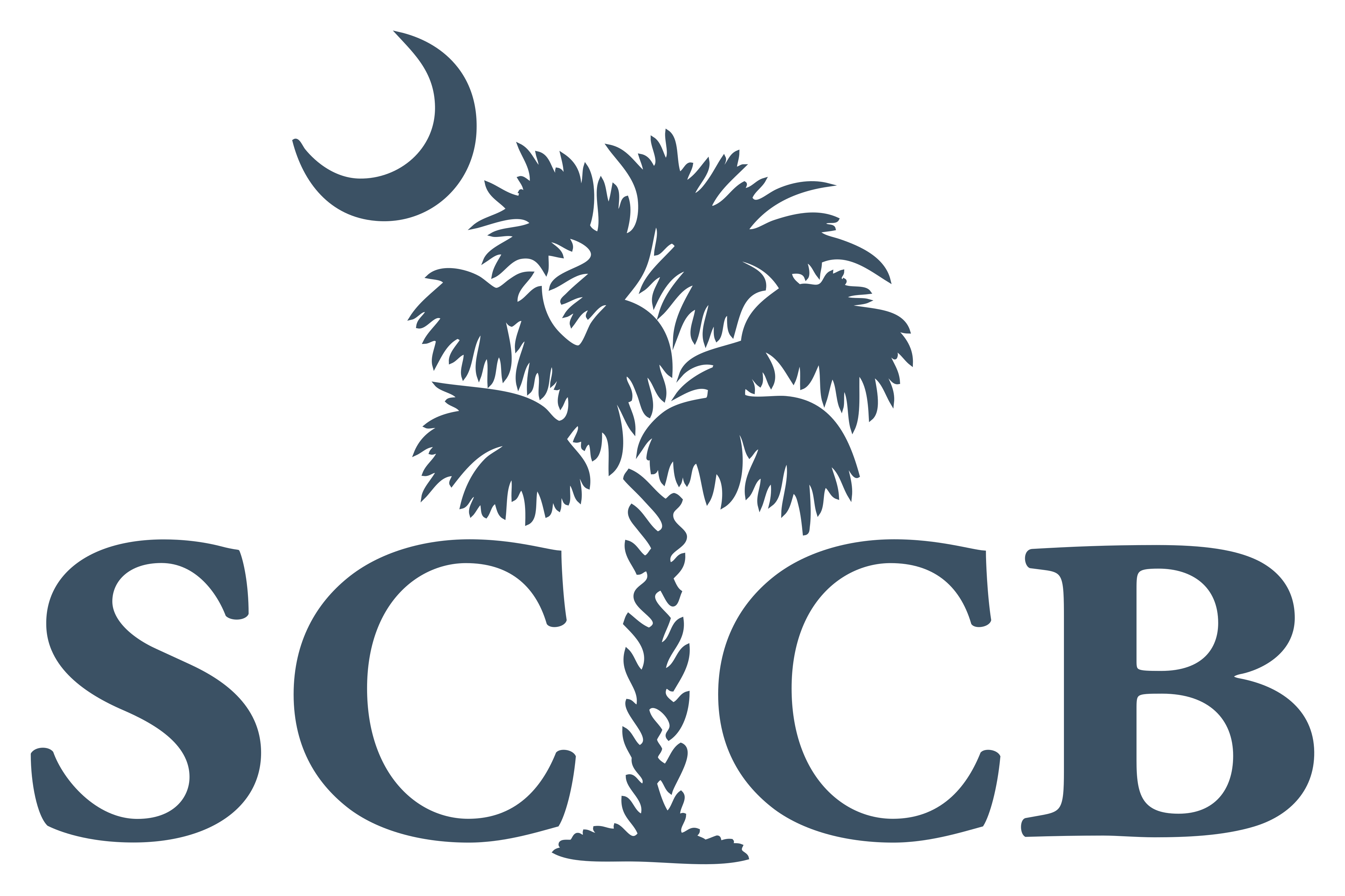 South Carolina Commission for the Blind Logo
